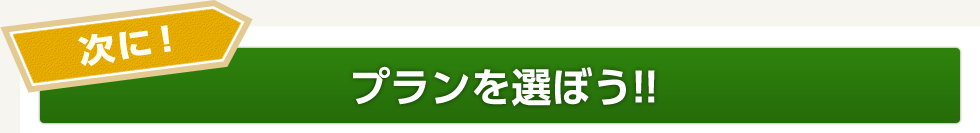 次に!プランを選ぼう!!
